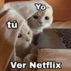 tű
Yo
@Harley_Stickers
Ver Netflix
