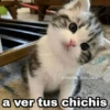 @Harley Stickers
a ver tus chichis