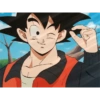 Goku 17