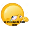 Chingaderas feas jajakksaks 15