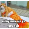 menyimak aja ya
ges yah