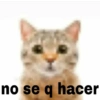 MEMES PACK 4.0 16