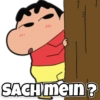 11
SACH mein?