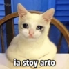 Payi
ia stoy arto