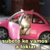🐱Gatitos Shitposting 1🐈 9