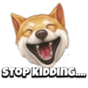 Pet reactions 17