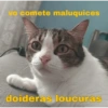 Chicória Maria #1 5