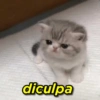 diculpa