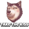 Pet reactions 6