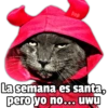 🥳Memes Party 5🎊 28