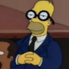 Homer Simpson 7