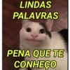 LINDAS
PALAVRAS
PENA QUE TE
CONHEÇO