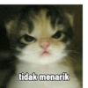 Low quality cat 15