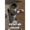 sini bos adu
mekanik