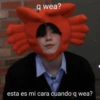 q wea?
esta es mi cara cuando q wea?