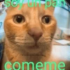 un pan memes.de.mierdan comeme
