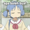 apa boleh buat
