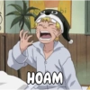6 10 bi HOAM