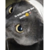 te esta mirando don
noche co