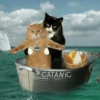 CATANIC