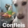 Confleis