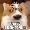 SEDANG MENCERNA OPINIMU