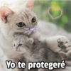 Payi
Yo te protegeré