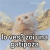 Paraguaita
lo ves? zoi una
gatipoza