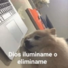 MEMES PACK 4.0 9
