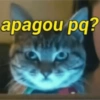 apagou pq? 11