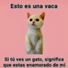 Esto es una vaca Si tú ves un gato, significa que estas enamorado de mi