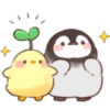 Pollito y pingüino 6
