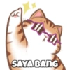 SAYA BANG
