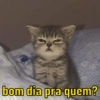 bom dia pra quem?