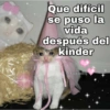 Que difícil se puso la vida después del kinder @kawaiiposting