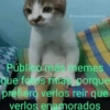 @memes.de.mlerdaa WA Público más memes que foros mías porque prefiero verlos reír que verlos enamorados