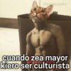 Paraguayita
cuando zea mayor
kiero ser culturista