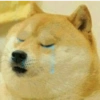 Shibainuu 11