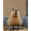 Kaget Masbro
