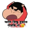 // আমি কিছু বুঝতে পারছি না ।