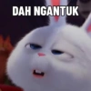 DAH NGANTUK A 1