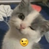 Kakakakak 9