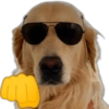 🐱Animalitos random🐕 7