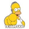Conciencia de Homero 21