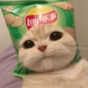Lay 乐事