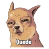 Quedé
