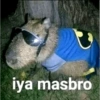 iya masbro