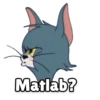 Marlab?