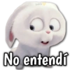 Anabelle No entendi