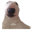 ola